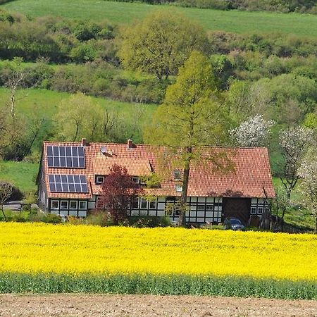 Forsthaus Wilmeroederberg Leilighet Polle Eksteriør bilde